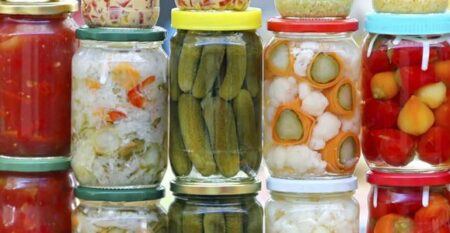 Cuisine-végé-Lacto-fermentation-870-300